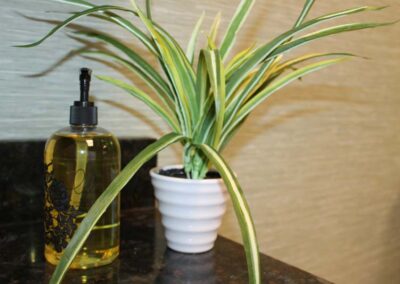 plant-and-soap-on-counter-integrated-living